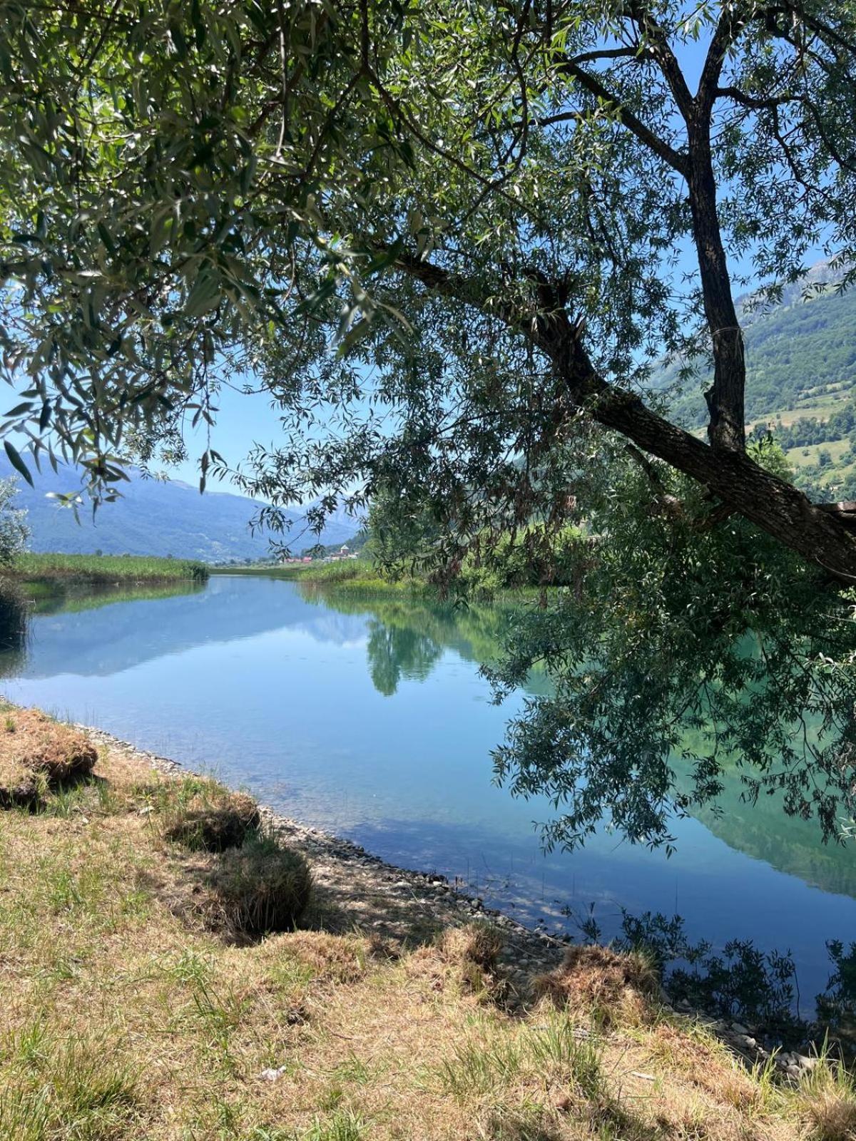 Camp Hotel Lake Views بلاف المظهر الخارجي الصورة
