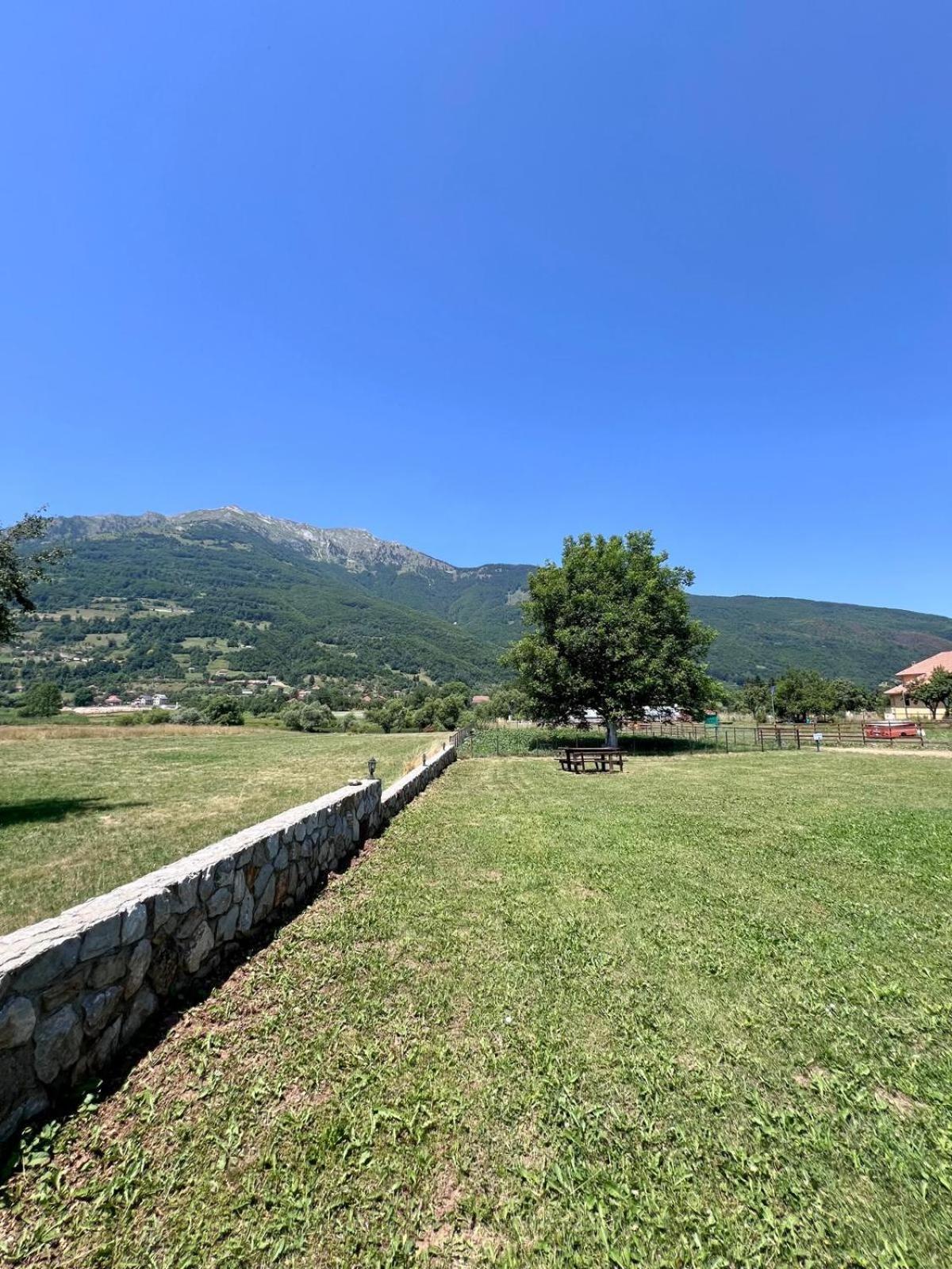 Camp Hotel Lake Views بلاف المظهر الخارجي الصورة